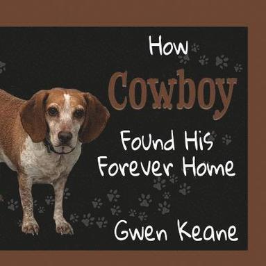 bokomslag How Cowboy Found His Forever Home