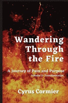 bokomslag Wandering Through The Fire: A Journey of Pain and Purpose Volume 2: Transformation