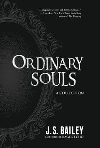 bokomslag Ordinary Souls