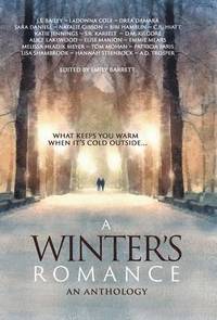 bokomslag A Winter's Romance