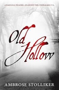bokomslag Old Hollow