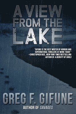 View From the Lake