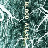 bokomslag Blood Atlas
