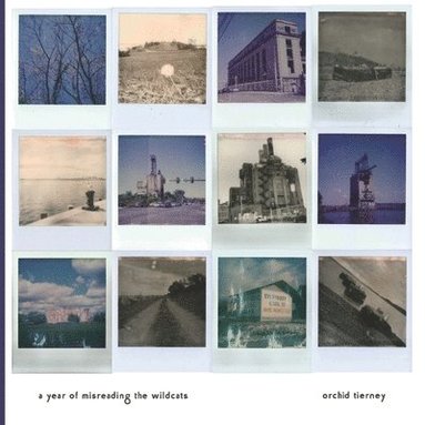 Orchid Tierney - Year of Misreading the Wildcats, Häftad
