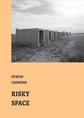 bokomslag Risky Spaces