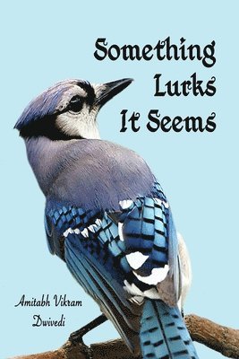 Amitabh Vikram Dwivedi - Something Lurks It Seems, Häftad