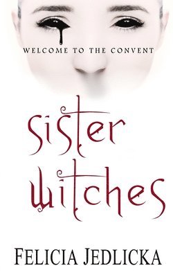 bokomslag Sister Witches