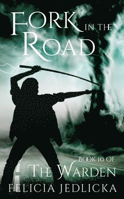bokomslag Fork in the Road