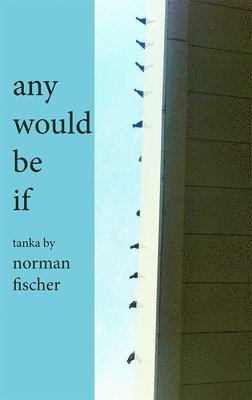 Norman Fischer - any would be if, Häftad