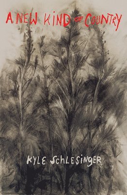 Jim Dine, Kyle Schlesinger - New Kind of Country, Häftad