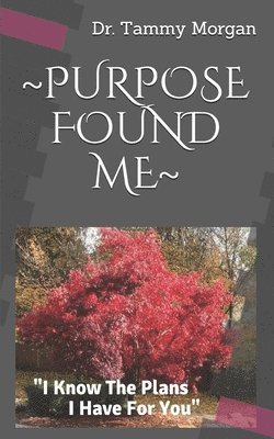 Purpose Found Me: I Know The Plans I Have For You 1