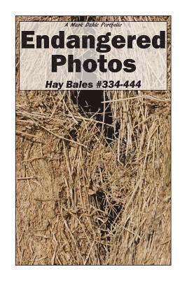 Endangered Photos: Hay Bales #334-444 1