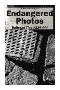 bokomslag Endangered Photos: Railroad Ties #334-444