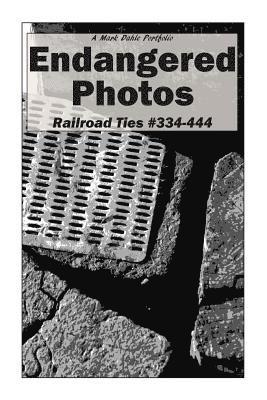 Endangered Photos: Railroad Ties #334-444 1