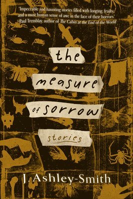 The Measure of Sorrow 1