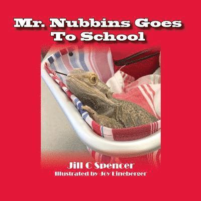 Mr. Nubbins Goes To School 1