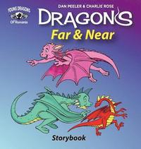 bokomslag Dragons Far And Near