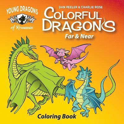 Colorful Dragons Far And Near
