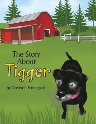 bokomslag Story About Tigger