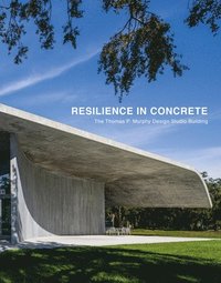 bokomslag Resilience in Concrete