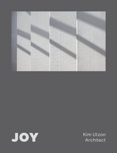 Aaron Betsky, Oscar Riera Ojeda - JOY, Inbunden