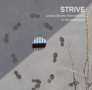 Marilu Knode, Marlon Blackwell, Oscar Riera Ojeda - Strive, Inbunden
