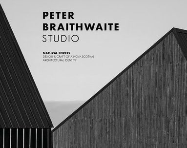 bokomslag Peter Braithwaite Studio