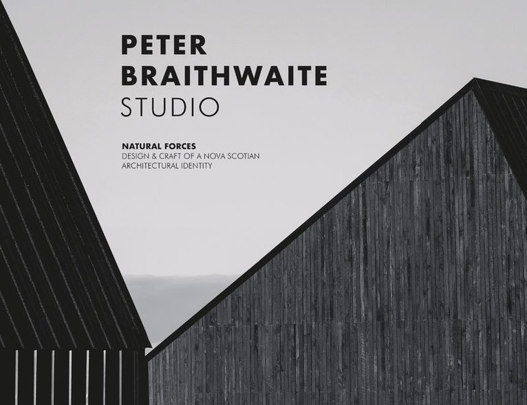 Peter Braithwaite - Peter Braithwaite Studio, Inbunden