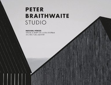 bokomslag Peter Braithwaite Studio