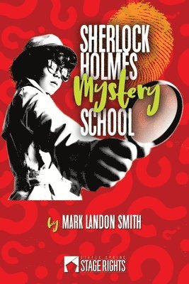 bokomslag Sherlock Holmes Mystery School