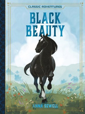 bokomslag Black Beauty
