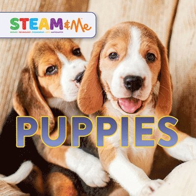 Puppies 1