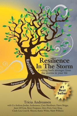 Resilience In The Storm 1