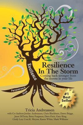 Resilience In The Storm 1