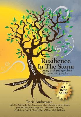 Resilience In The Storm 1