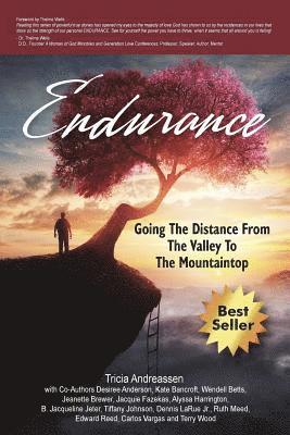 Endurance 1