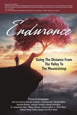 Endurance: Going The Distance From The Valley To The Mountaintop 1