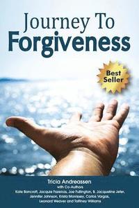 bokomslag Journey To Forgiveness