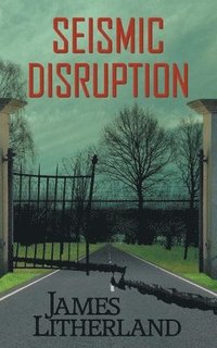 bokomslag Seismic Disruption