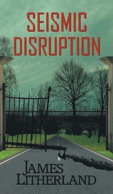 bokomslag Seismic Disruption
