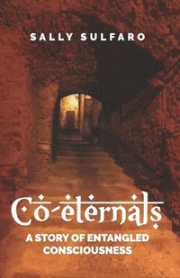 bokomslag Co-eternals: A Story of Entangled Consciousness
