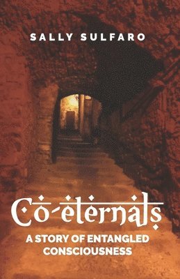 bokomslag Co-eternals: A Story of Entangled Consciousness