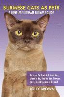 bokomslag Burmese Cats as Pets: Burmese Cat Facts & Information, where to buy, health, diet, lifespan, types, breeding, care and more! A Complete Ulti