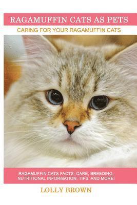 Ragamuffin Cats As Pets: Ragamuffin Cats facts, care, breeding, nutritional information, tips, and more! Caring For Your Ragamuffin Cats 1