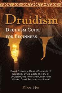 bokomslag Druidism: Druid Overview, Basics Concepts of Druidism, Druid Gods, History of Druidism, the Inner and Outer Path Works, Druid Fe