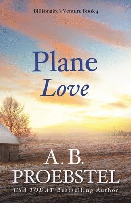 Plane Love 1