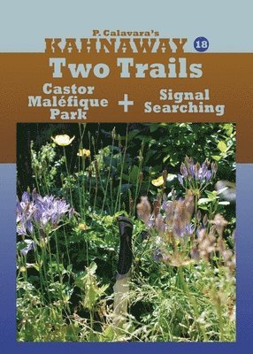 bokomslag Two Trails