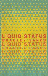 bokomslag Liquid Status