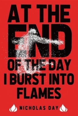 Nicholas Day - At The End Of The Day I Burst Into Flames, Häftad
