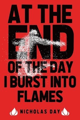 Nicholas Day - At The End Of The Day I Burst Into Flames, Häftad